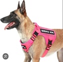 PETNANNY Tactical Dog Harness - Service Dog Harness Emotional Support Dog Vest for Medium Large Dogs, No Pull ESA Dog Vest with Hook & Loop, Working Molle Vest for Training Huntin(Orange,L)