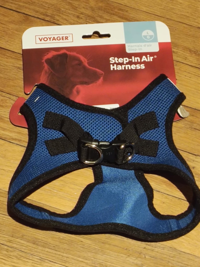 Voyager Step-in Air Dog Harness - All Weather Mesh Step in Vest Harness for Small and Medium Dogs and Cats by Best Pet Supplies - Harness (Royal Blue/Black Trim), XL (Chest: 20.5-23")